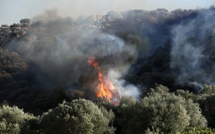 Στον εισαγγελέα 46χρονος που κατηγορείται για πυρκαγιές στα Σπάτα
